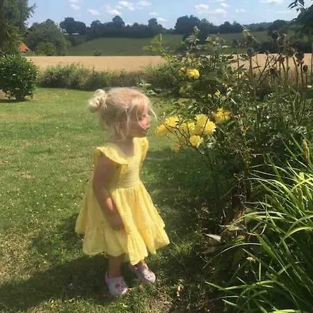 Σπίτι διακοπών Rose With Seasonal Swimming Pool Le Mesnil-Gilbert