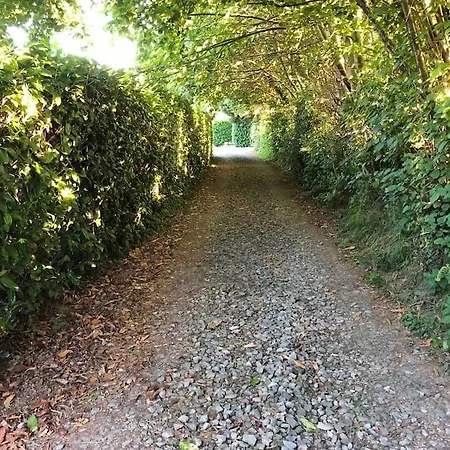 Rose With Seasonal Swimming Pool