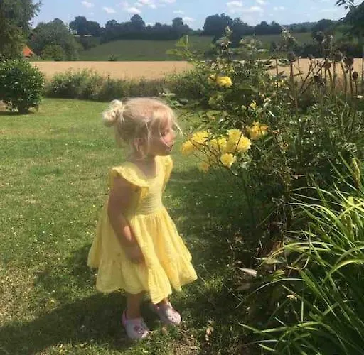 Nyaraló Rose With Seasonal Swimming Pool Le Mesnil-Gilbert