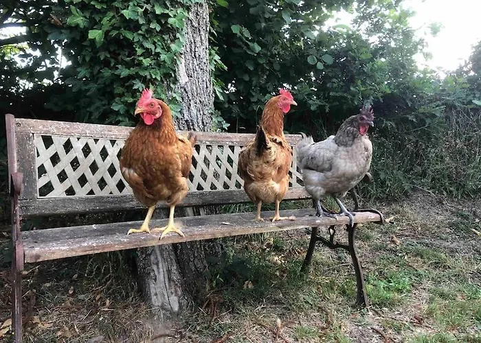 Rose With Seasonal Swimming Pool