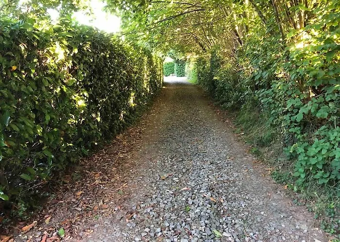 Rose With Seasonal Swimming Pool