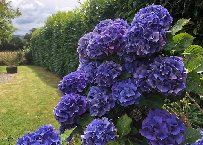 Rose With Seasonal Swimming Pool * Le Mesnil-Gilbert
