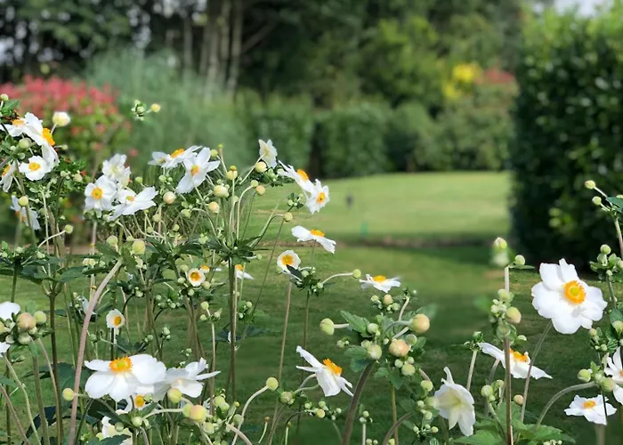 Rose With Seasonal Swimming Pool Le Mesnil-Gilbert